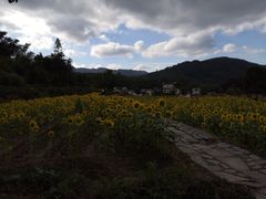 -塔川景区