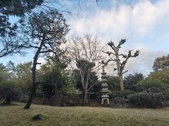 景观位-料亭菊水楼