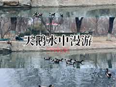 -丰台科技园生态主题公园