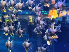 -海合安天津极地海洋公园