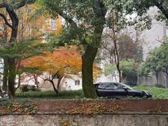 -浙江大学(玉泉校区)