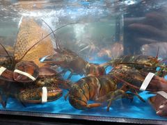 波龙-盒马鲜生(大行宫店)