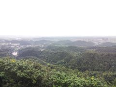 -云碧峰国家森林公园