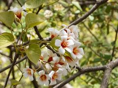 -舒家湾天主教堂