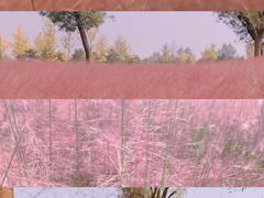 -汉长安城未央宫国家考古遗址公园