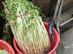 -邮电新村嘉积鸭美味园