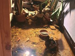 -邈墨茶馆(凤起路店)