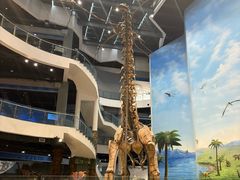 -辽宁古生物博物馆