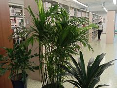 -朝阳区图书馆(小庄店)