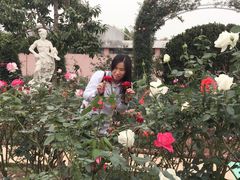-百万葵园