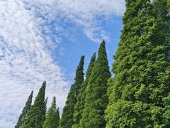 -宜兴龙背山森林公园