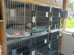 -派美特宠物医院·核磁CT·骨科肿瘤·疑难转诊(沈农禾丰店)
