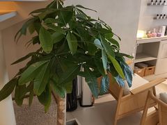 -泰合玺·精油疗愈 SPA(南京河西万达店)