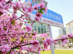 -北京明城墙遗址公园