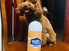 -milkplus·泰式奶茶(较场东路店)