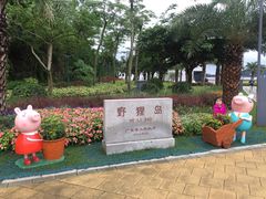 -野狸岛