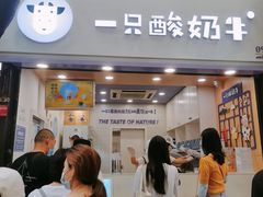 门面-一只酸奶牛(八一路店)