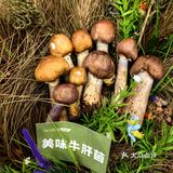 天然食材的魅力