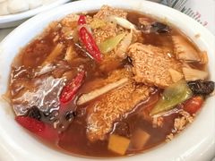 -陈麻婆豆腐总店