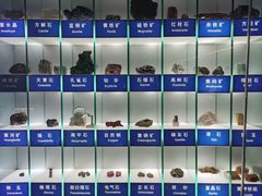 -中国地质博物馆