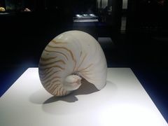 -贝壳王国博物馆