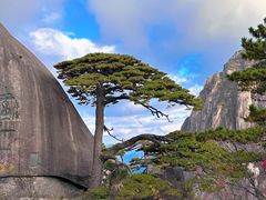 -黄山风景区
