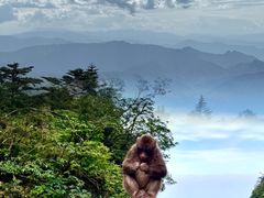 -峨眉山风景名胜区