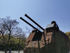 -上海吴淞炮台湾国家湿地公园