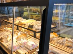 -维尔纳斯·生日蛋糕·动物奶油冰淇淋蛋糕(六里桥店)