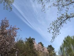-海棠花溪(元大都城垣遗址公园)