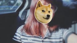 -Y-STUDIO原理