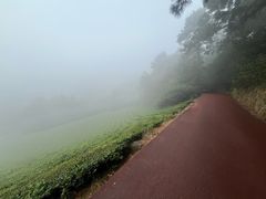 -敬亭山风景名胜区