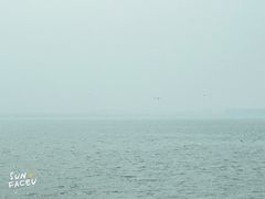 -东疆建设开发纪念公园