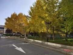 -中央民族大学