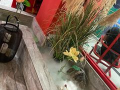 -禧鳳記·猪肚鸡火锅(玖洲道店)