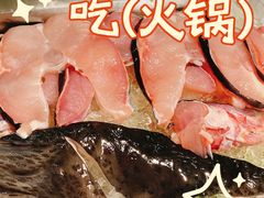 -鱼豆吉·豆浆鱼火锅(宜昌万达店)