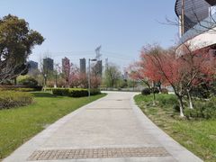 -九里河湿地公园