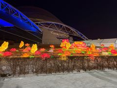 -沈阳奥体冰雪嘉年华