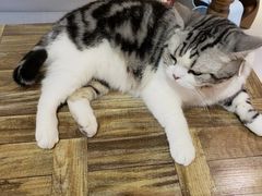 -小时光咖啡馆(开森度假森林店)