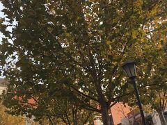 -天津东丽湖风景区