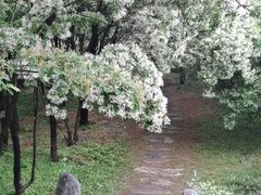 -国家植物园南园