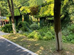 -东平国家森林公园