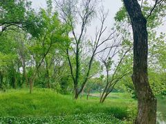 -西溪国家湿地公园