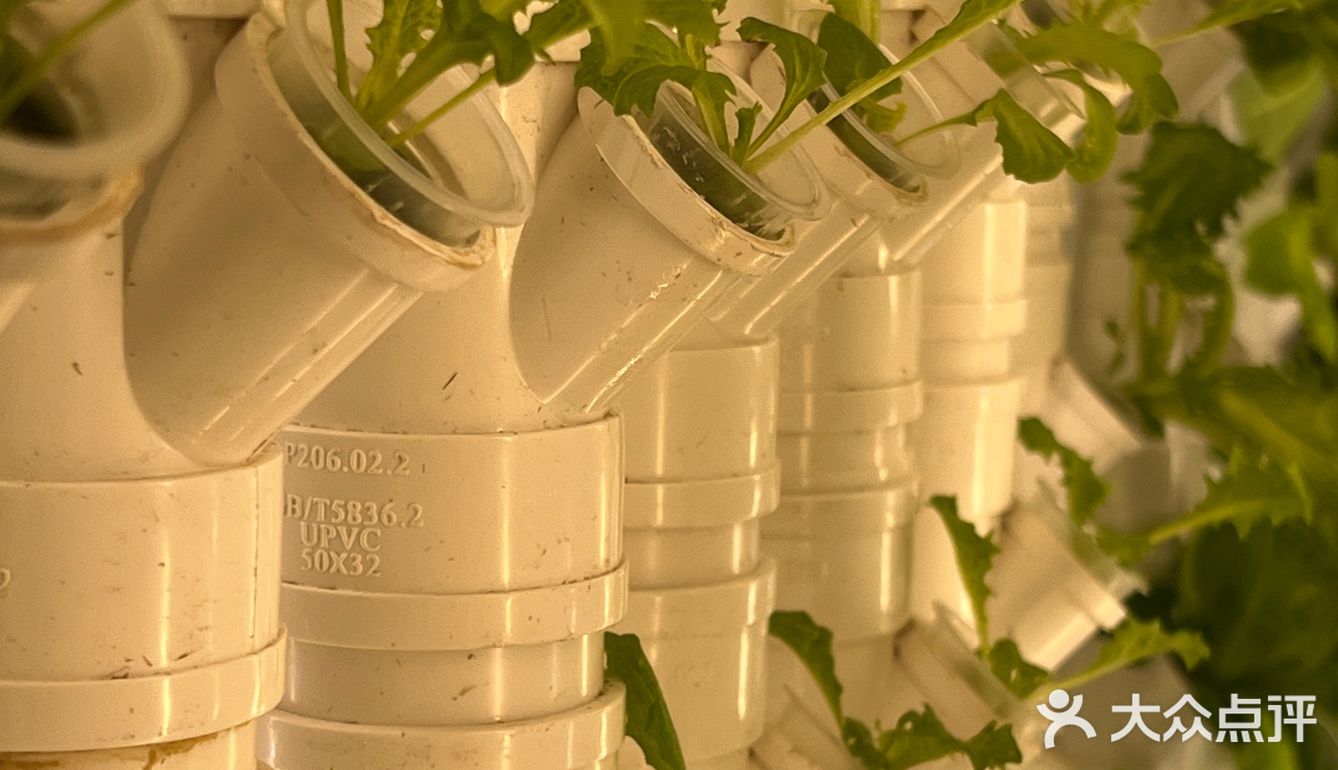 这家店用的是自己种的菜