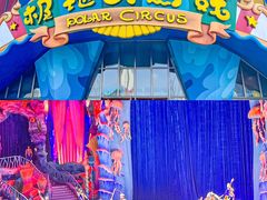 -海合安武汉极地海洋公园