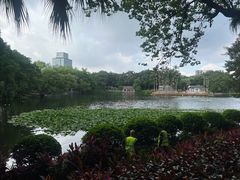 -荔湾湖公园