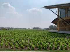 -中国天府农业博览园