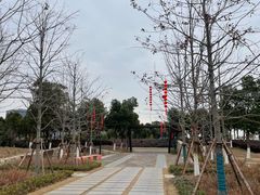 -春花秋色城市公园