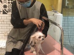 -西元前宠物酒店(郑庄府邸店)