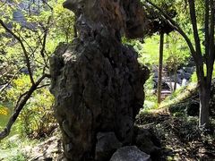 -南京市民俗博物馆(甘熙故居)
